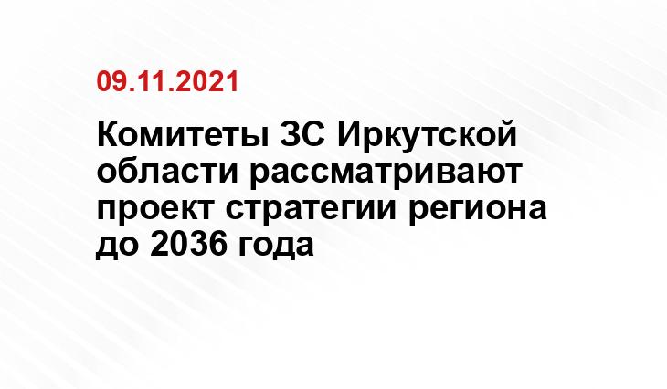 Комитеты ЗС Иркутской области рассматривают проект стратегии региона до 2036 года редакции