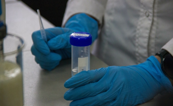 В Ингушетии запретят заключать браки без справки об отсутствии ВИЧ и наркозависимости В Ингушетии запретят заключать браки без справки об отсутствии ВИЧ и наркозависимости