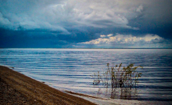 Ледяной щит Ладоги тает: как потепление изменит экосистему крупнейшего озера Европы