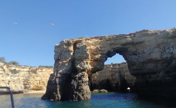 325 миллионов лет в камне: в пещере-гиганте нашли останки доисторических морских чудовищ