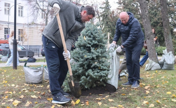 Мэр Воронежа Сергей Петрин принял участие в высадке деревьев в сквере Никитина