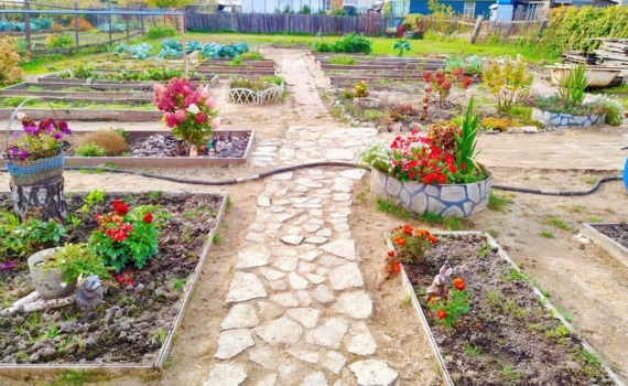 Забудьте о сорняках между плитками: простой способ на весь сезон — секрет, который работает Забудьте о сорняках между плитками: простой способ на весь сезон — секрет, который работает